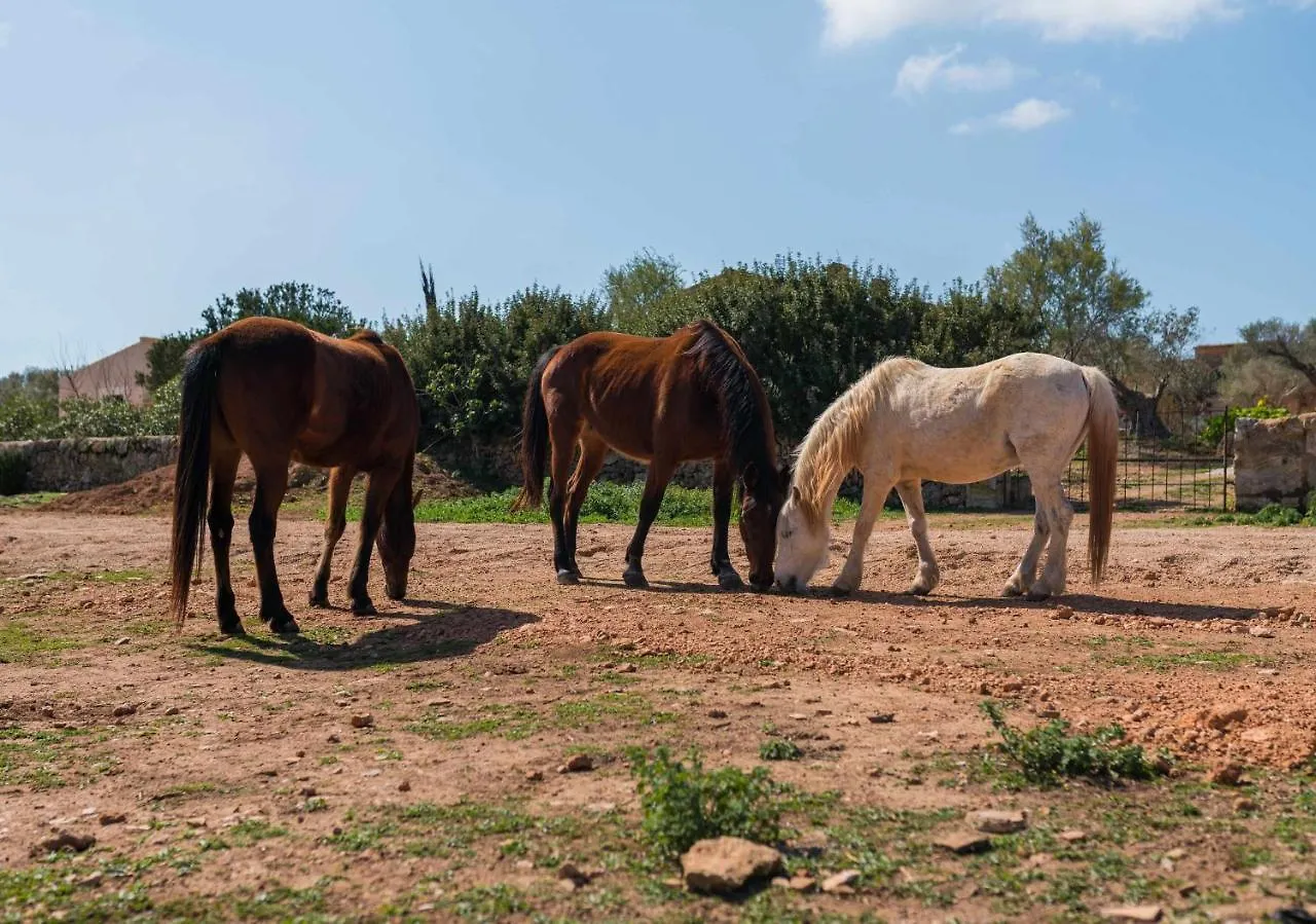 Lägenhet Agroturismo Sa Canoveta Colonia de Sant Jordi